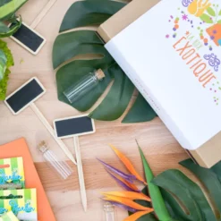 Box graines de légumes exotique