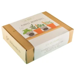Box graines de plantes aromatiques