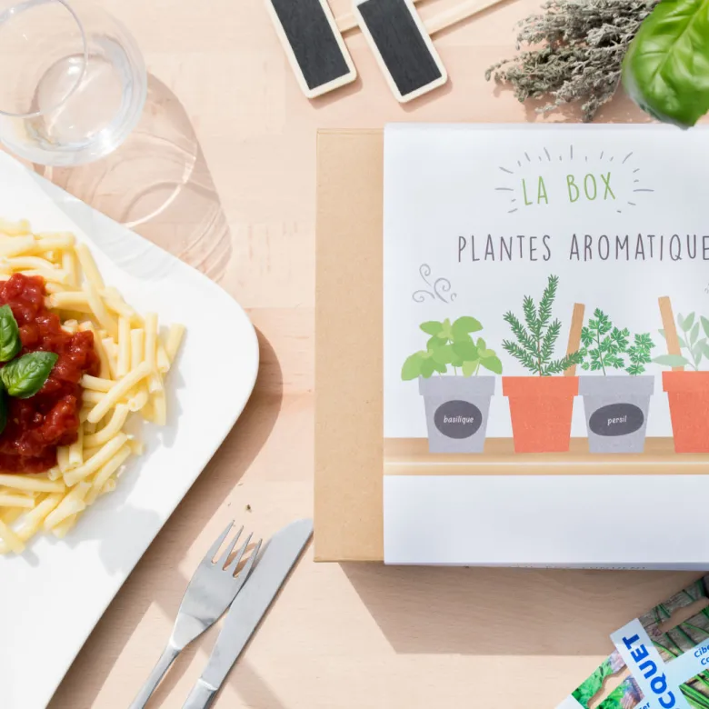 Box graines de plantes aromatiques