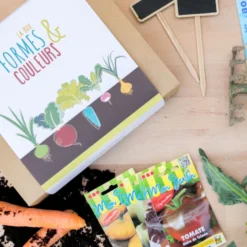 Box légumes originaux