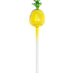Bulle d'arrosage ananas en verre pour plante en pot