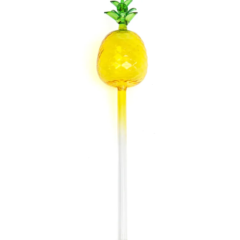 Bulle d'arrosage ananas en verre pour plante en pot