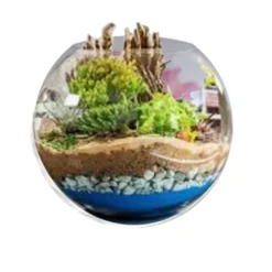 Bulle décorative pour mini-jardin en lév