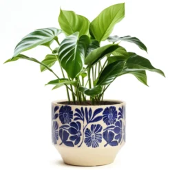 Cache-pot en céramique fleurs bleu 16 cm