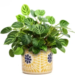Cache-pot en céramique fleurs jaune 11 cm