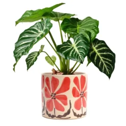 Cache-pot en céramique fleurs rouge 17 cm