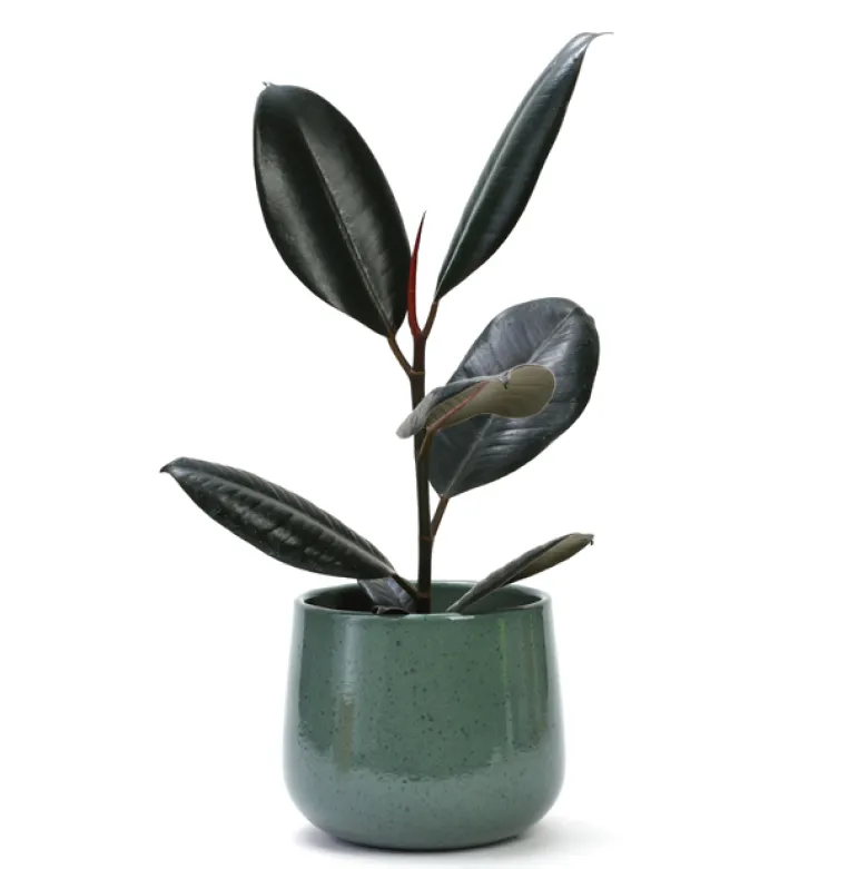 Cache pot en céramique vert 13 cm