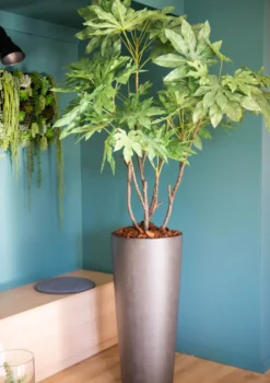 Cache-pot tampico 90 cm pot 18,5l d36h30