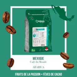 Café bio - mexique chiapas - pur arabica - grain 250g