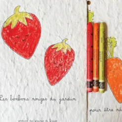 Cahier de coloriage à planter fruits & légumes
