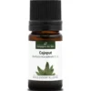 Cajeput (melaleuca leucadendra) - huile essentielle bio - 5ml garantie chromacer