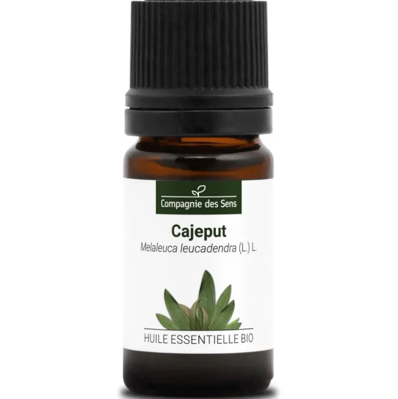 Cajeput (melaleuca leucadendra) - huile essentielle bio - 5ml garantie chromacer