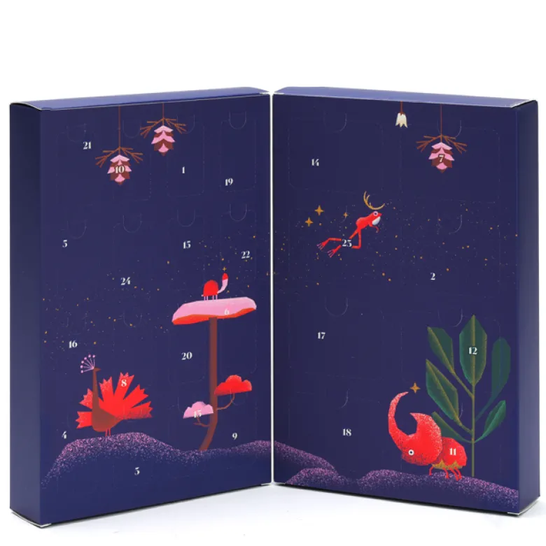 Calendrier de l'Avent 24 minéraux à collectionner