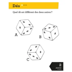 Calendrier jeux de logique en 365 jours