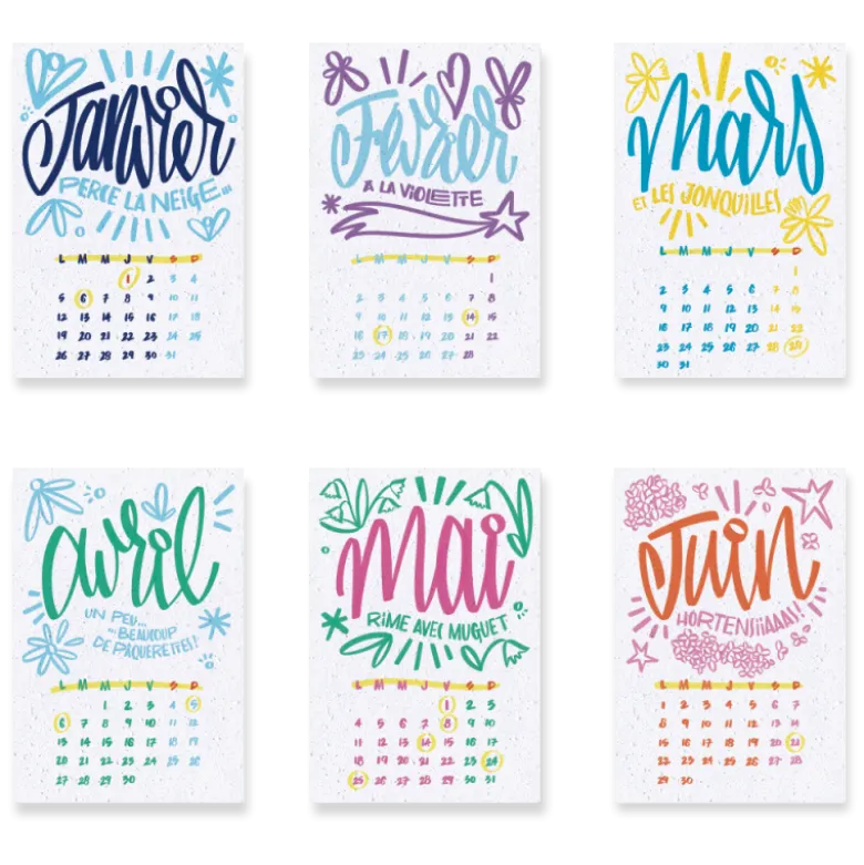 Calendrier à planter 2026 « l’art et la couleur » – édition premium