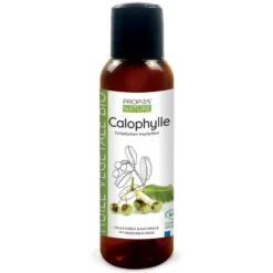 Calophylle (tamanu) bio - huile végétale