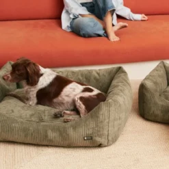 Cama, panier chien chat velours vert s