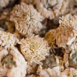 Camomille romaine bio fleur 20g