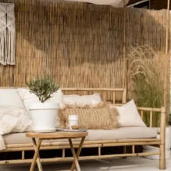 Canisse en roseau fendu - 1 x 5 m