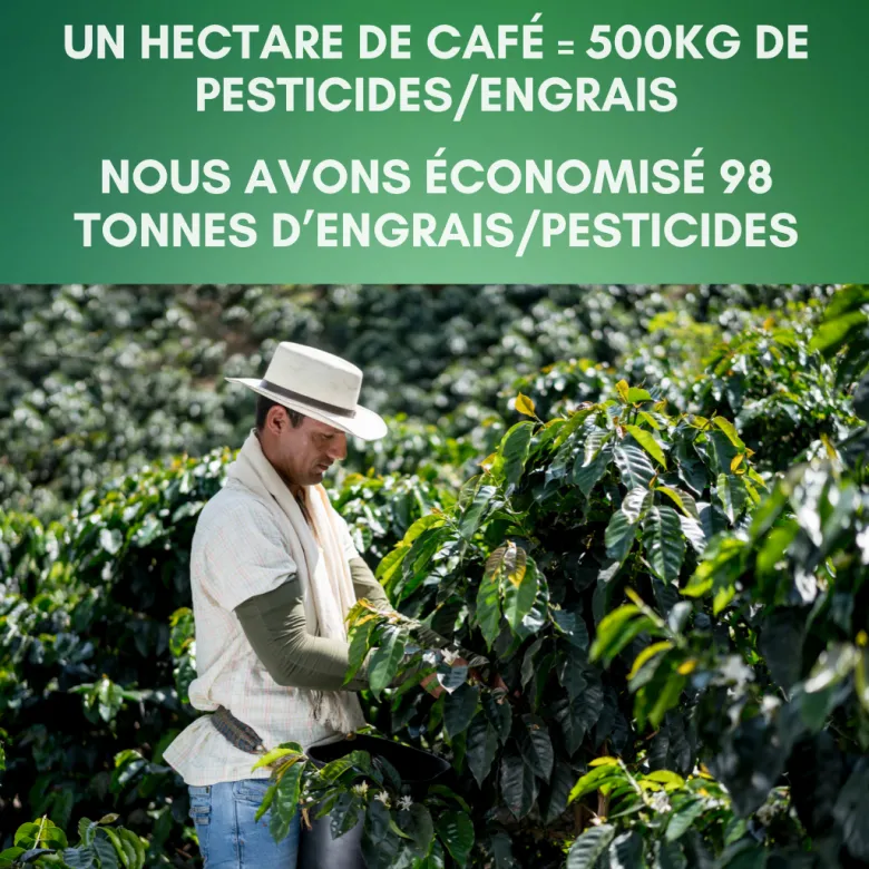 120 capsules nespresso® home compost en café bio du brésil - mexique -tanzanie