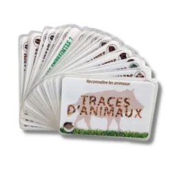 Carnet traces d'animaux