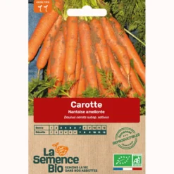 Carotte nantaise améliorée 5 bio