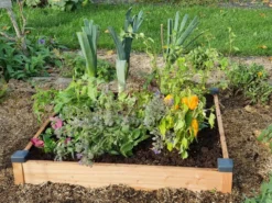 Carré potager bois douglas 82x82x14