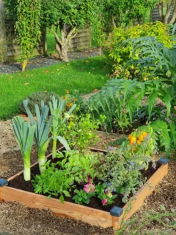 Carré potager bois douglas 82x82x14