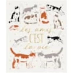 Carte Amis pour la vie