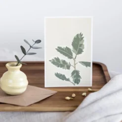 Carte ficus el tineke