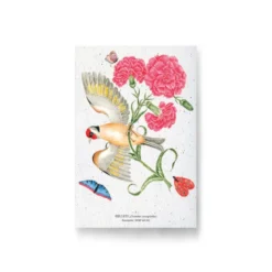Carte à planter - œillet et oiseau