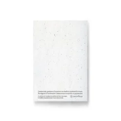 Carte à planter - tulipe œil de soleil