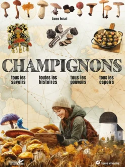 Champignons