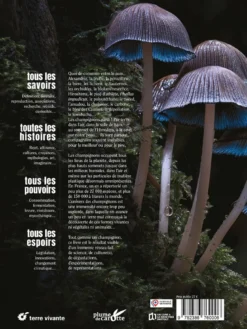 Champignons