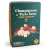Champignons de Paris à faire pousser