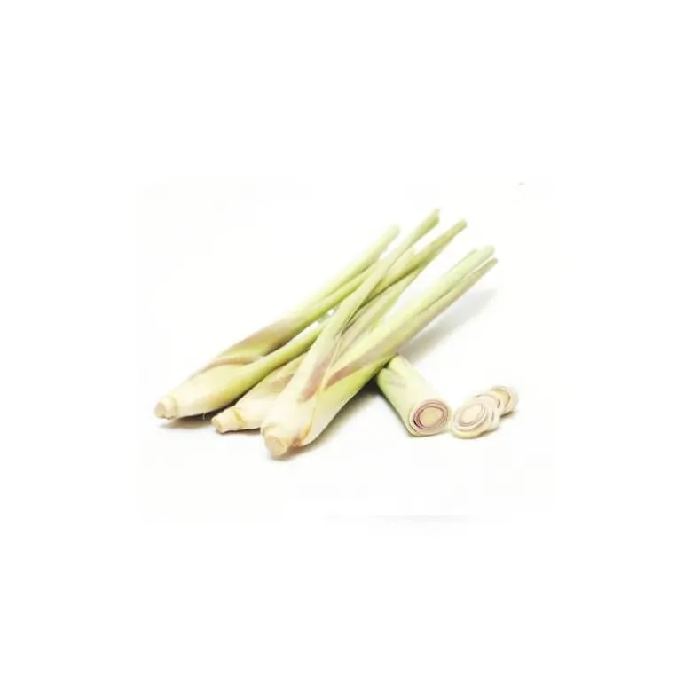 Citronnelle de java - huile essentielle bio - 10ml garantie chromacert® - chémot