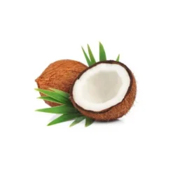 Coco - huile végétale bio 100ml