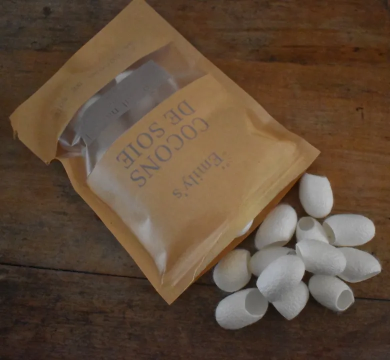 Cocons de soie