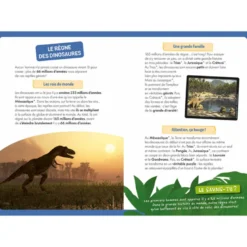Coffret A la découverte des dinosaures