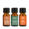 Coffret 3 concentrés de parfum