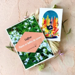 Coffret jardinage diy savon graines