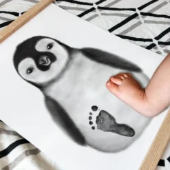 Coffret kit empreintes affiche pingouin
