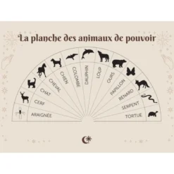 Coffret à la découverte du pendule