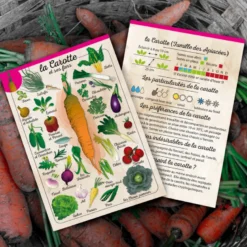Coffret Le petit potager