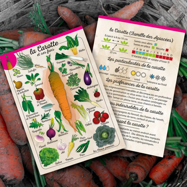 Coffret Le petit potager