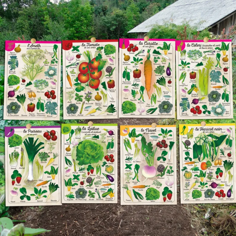 Coffret Le petit potager
