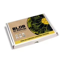Coffret élevage de blob