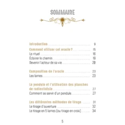 Coffret l'oracle des mémoires akashiques