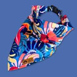Collier-bandana pour chien lagon - m
