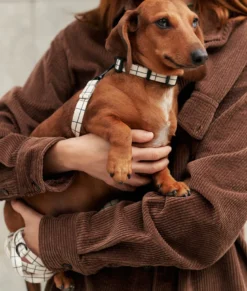 Collier pet recyclé l - beige
